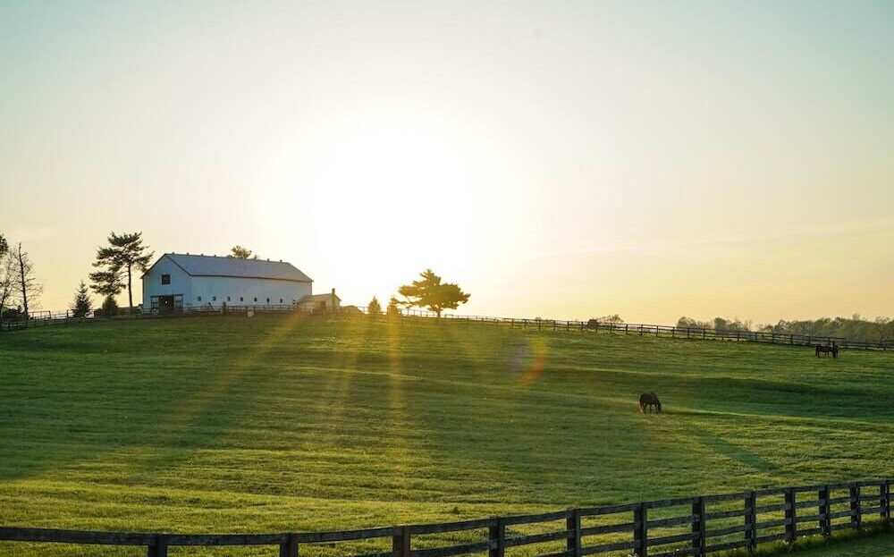 Montana View Ranch